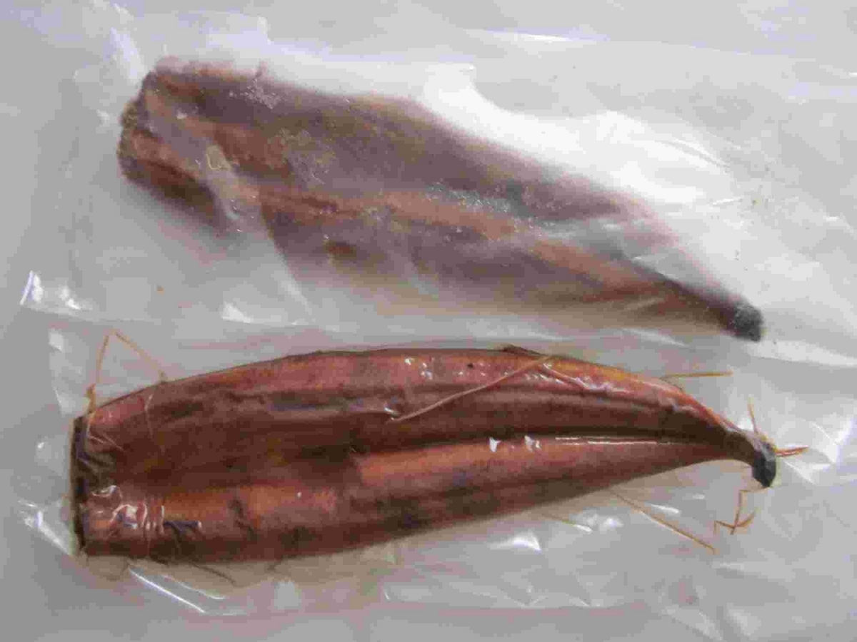 うなぎ・楽天市場