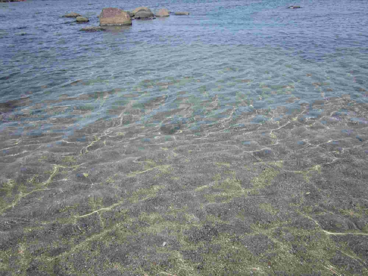 日帰りレジャー