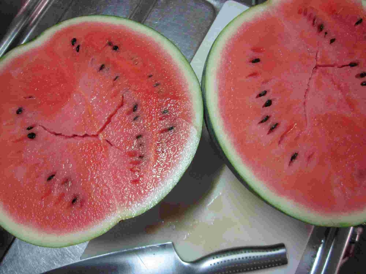 スイカ