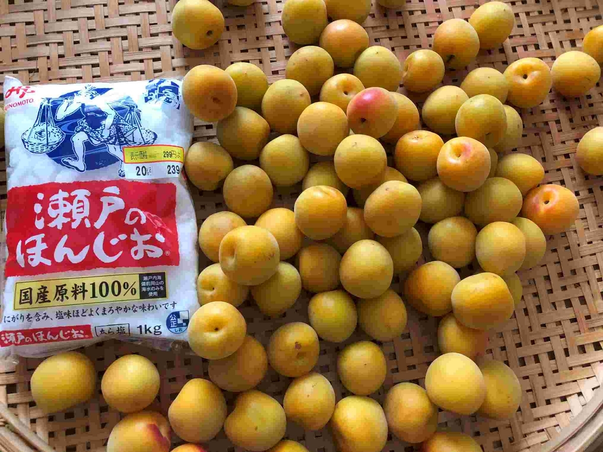 梅仕事♪南高梅の梅干し作り・順調に梅酢が上がりました - 貯め代の 