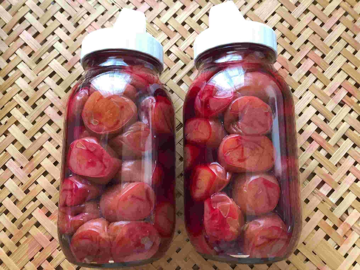 梅仕事・梅干し作り