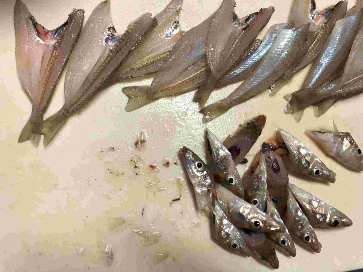 ゼロ円おかず・釣り