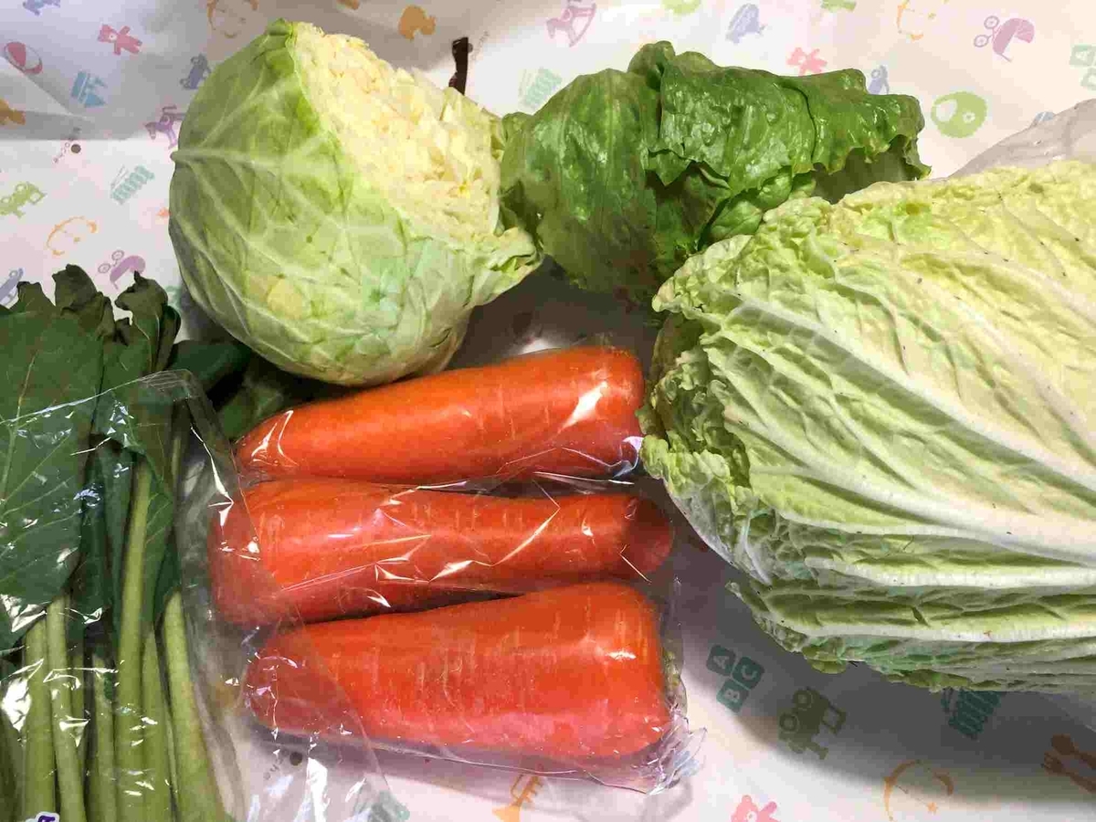 大腸内視鏡検査