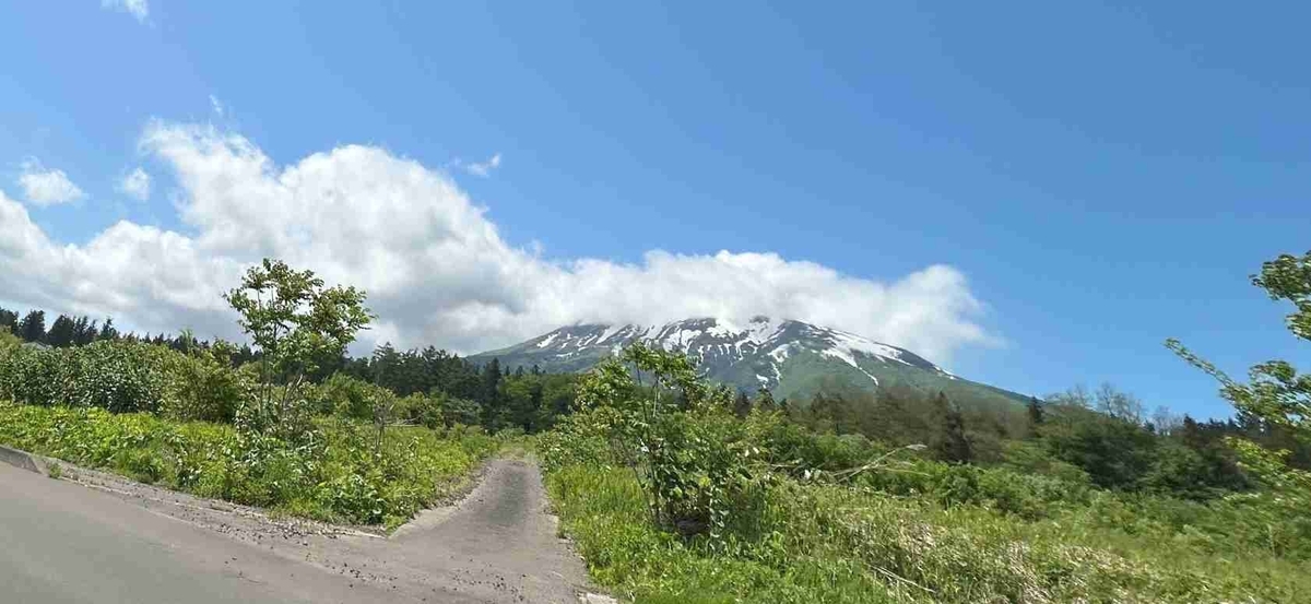 山菜取り