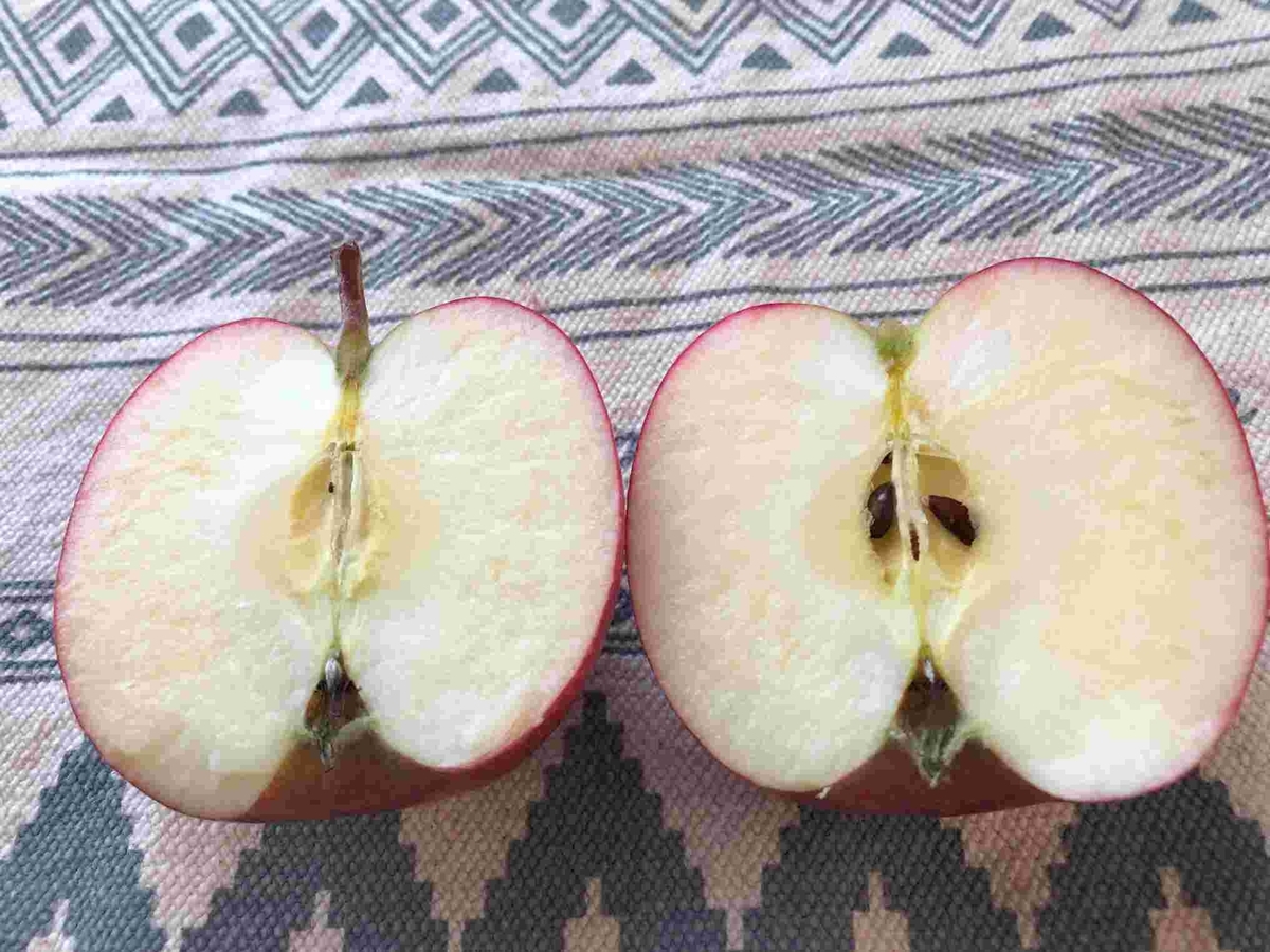 青森県産リンゴ