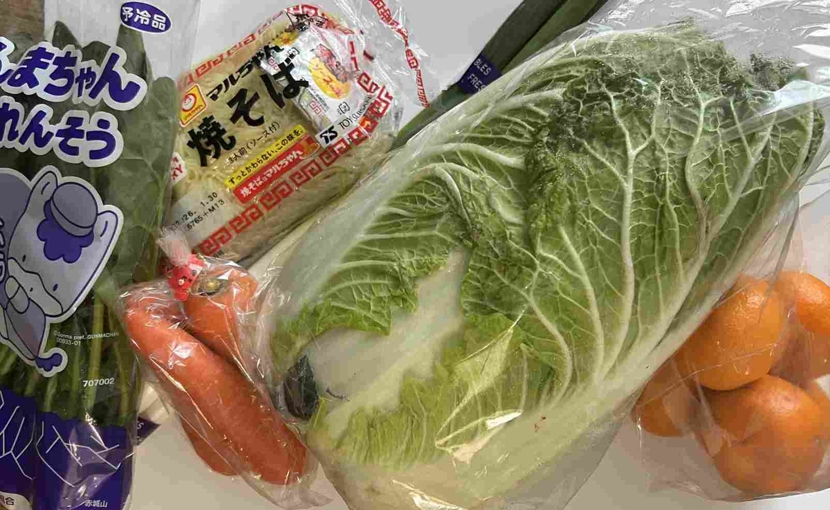 大寒波・備蓄