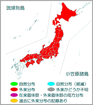 アメリカオニアザミ駆除・シニアボランティア