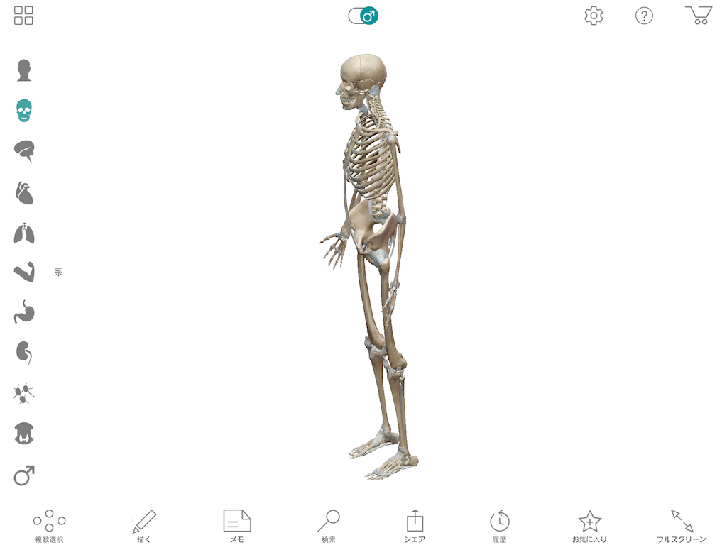 f:id:tami0525:20180516083216p:image f:id:tami0525:20180516083216p:image