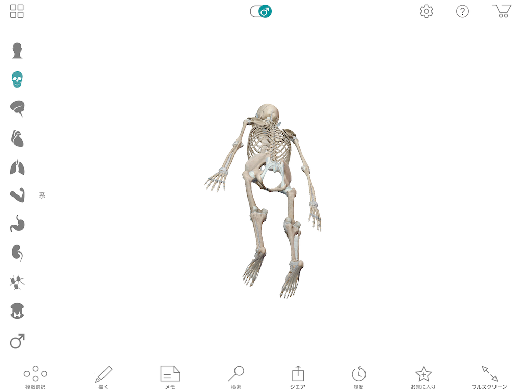 f:id:tami0525:20180516083225p:image f:id:tami0525:20180516083225p:image