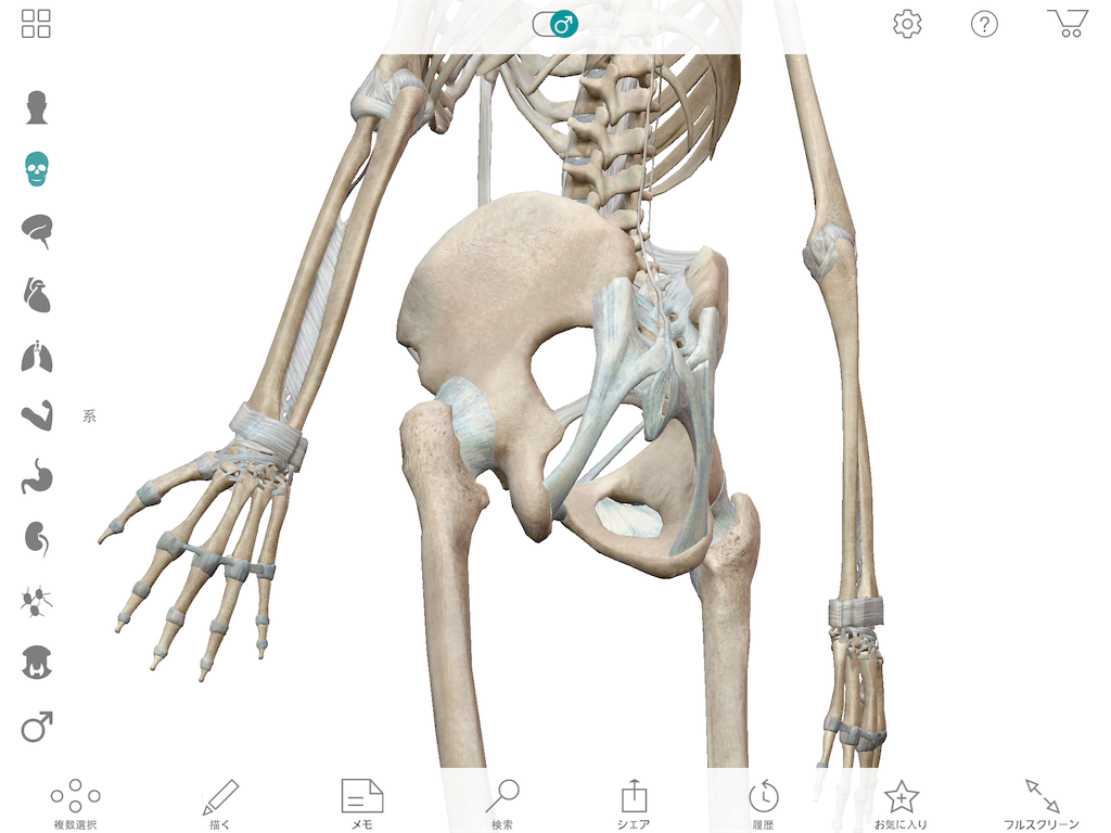 f:id:tami0525:20180516083255p:image f:id:tami0525:20180516083255p:image