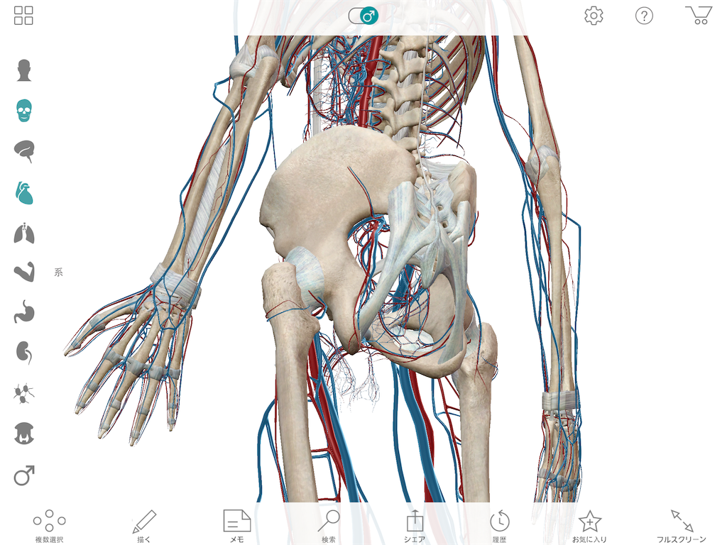 f:id:tami0525:20180516083451p:image f:id:tami0525:20180516083451p:image