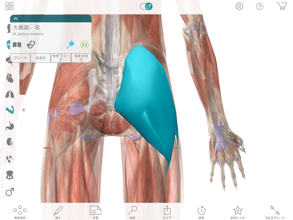 f:id:tami0525:20180516100727p:image f:id:tami0525:20180516100727p:image