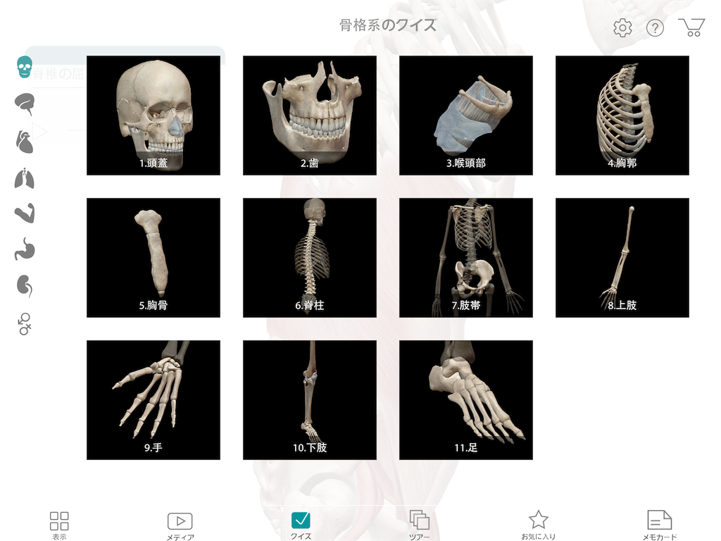 f:id:tami0525:20180518205158p:image