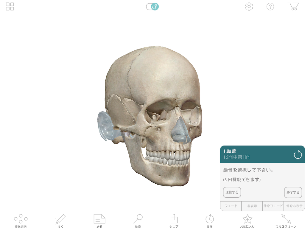 f:id:tami0525:20180518205233p:image