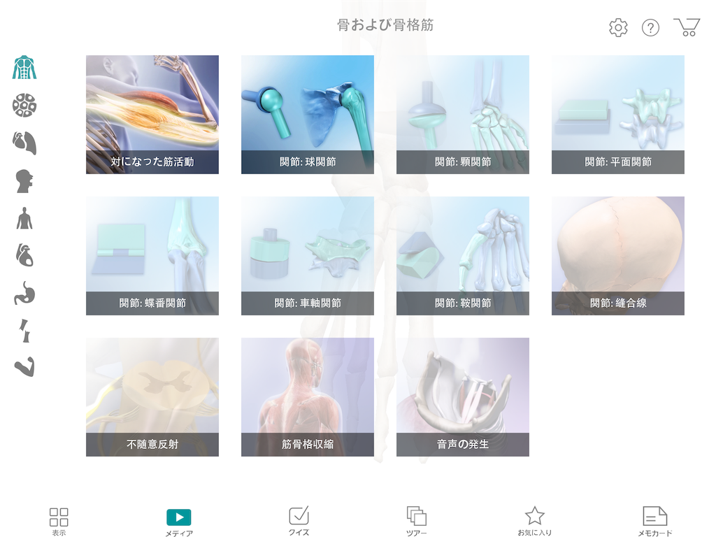 f:id:tami0525:20180518205525p:image