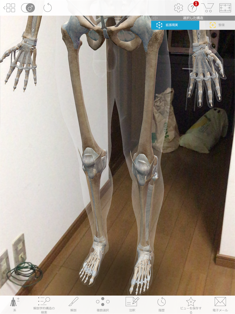 f:id:tami0525:20180807090422p:image f:id:tami0525:20180807090422p:image