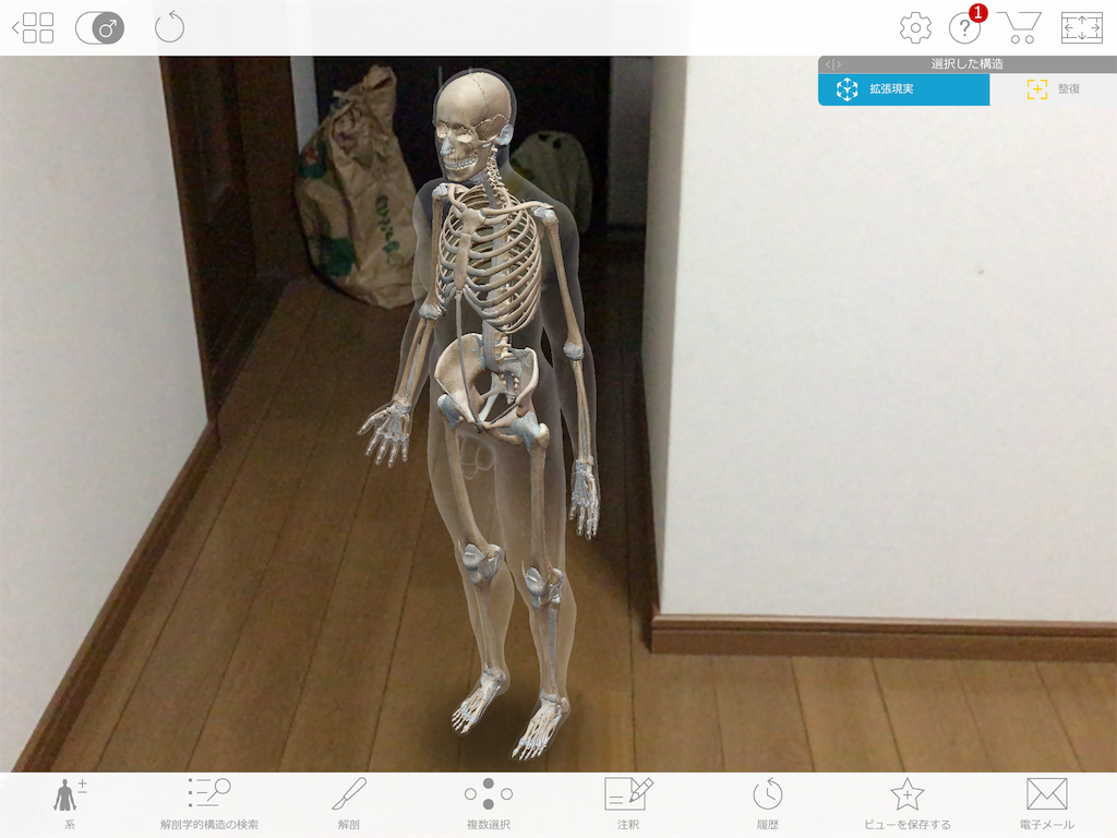 f:id:tami0525:20180807090441p:image f:id:tami0525:20180807090441p:image