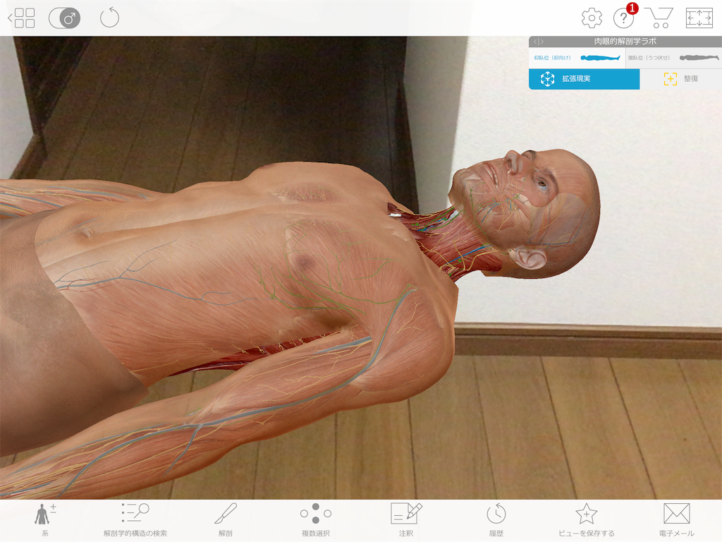 f:id:tami0525:20180807090516p:image f:id:tami0525:20180807090516p:image