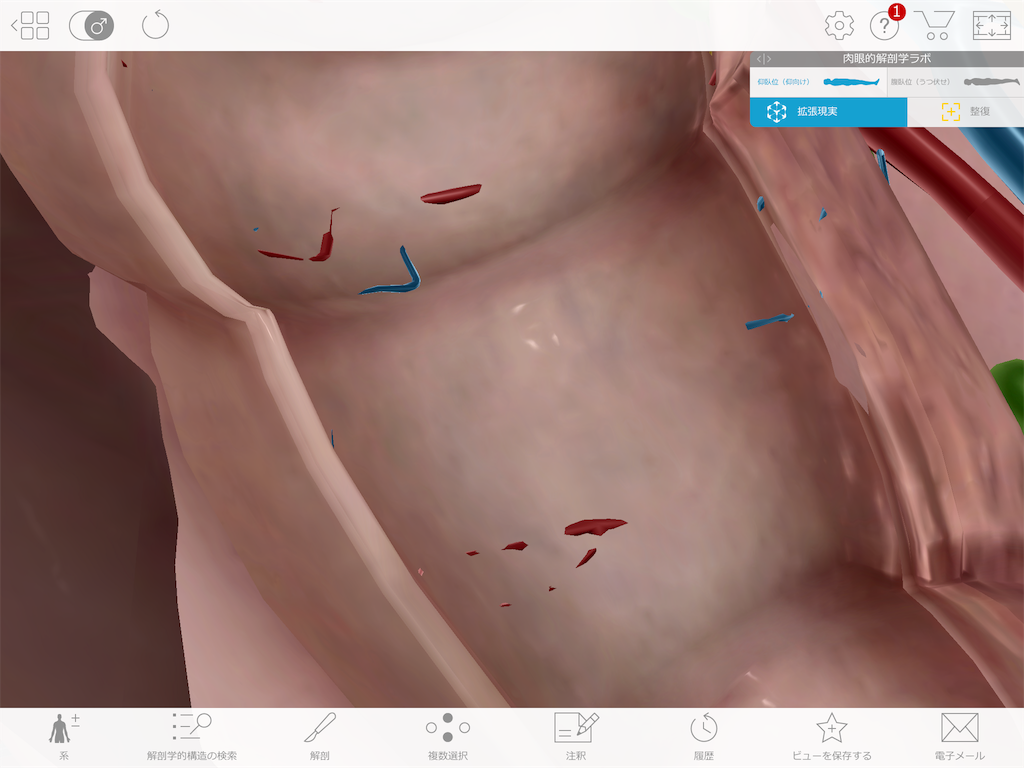 f:id:tami0525:20180807090552p:image f:id:tami0525:20180807090552p:image