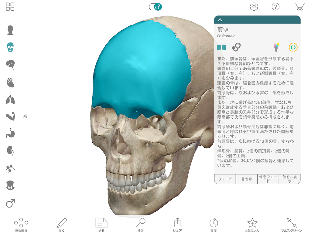 f:id:tami0525:20180807121403p:image f:id:tami0525:20180807121403p:image