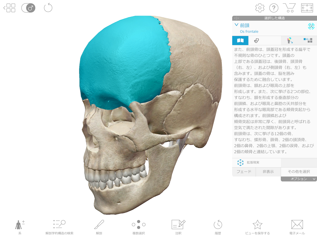 f:id:tami0525:20180807121429p:image f:id:tami0525:20180807121429p:image