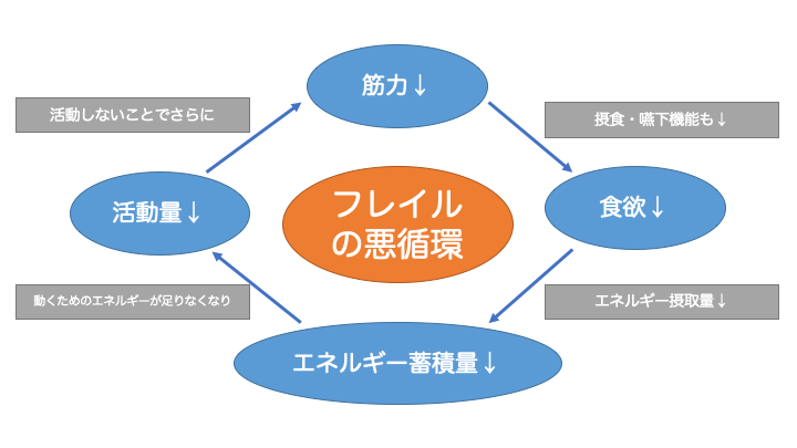 身体的フレイルの悪循環