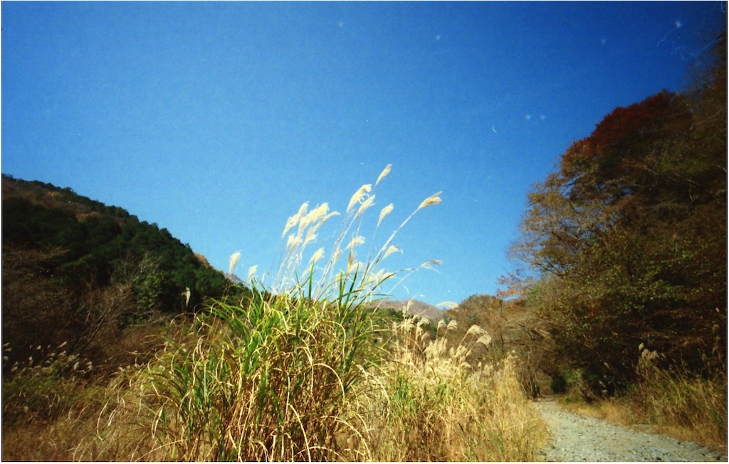 f:id:tamigoo:20211111094435j:image