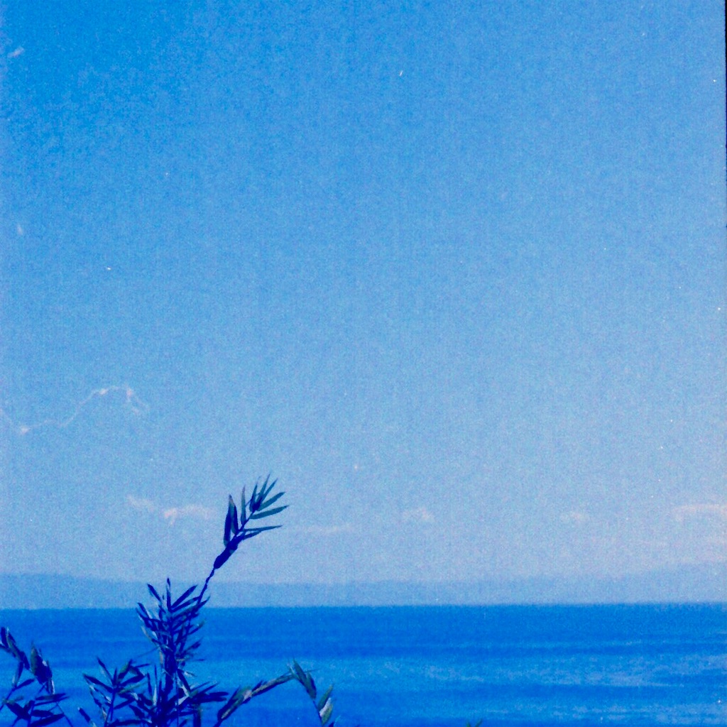 f:id:tamigoo:20211117094309j:image