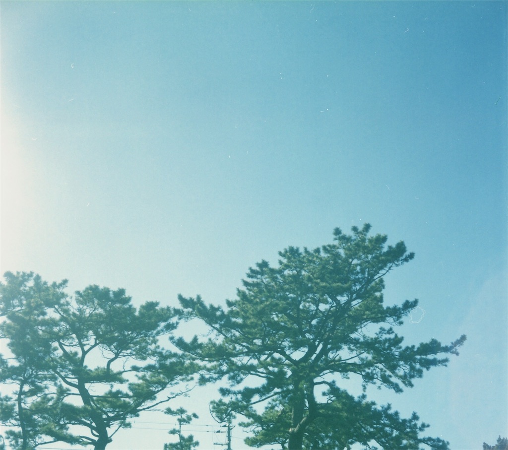 f:id:tamigoo:20220131221428j:image