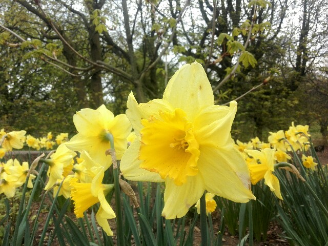 f:id:tamikiti67:20171113000524j:image