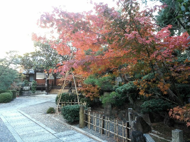 f:id:tamikiti67:20171125184528j:image f:id:tamikiti67:20171125184528j:image