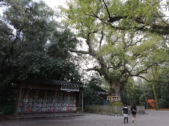 f:id:tamikiti67:20181229164858j:image f:id:tamikiti67:20181229164858j:image