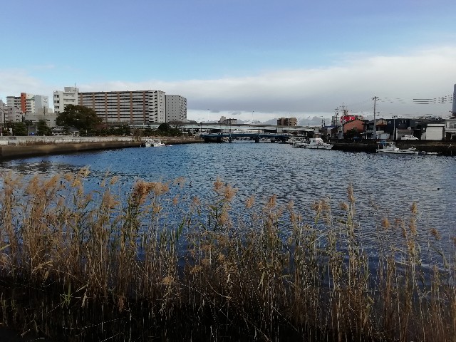 f:id:tamikiti67:20181229165252j:image f:id:tamikiti67:20181229165252j:image