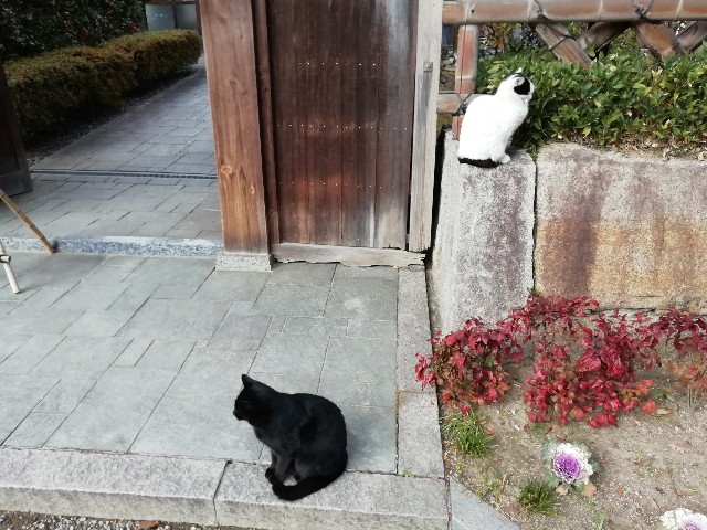 f:id:tamikiti67:20190121200733j:image f:id:tamikiti67:20190121200733j:image