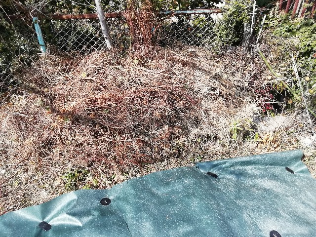 f:id:tamikiti67:20190215153416j:image