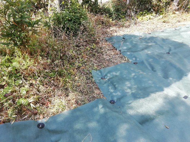 f:id:tamikiti67:20190215153614j:image