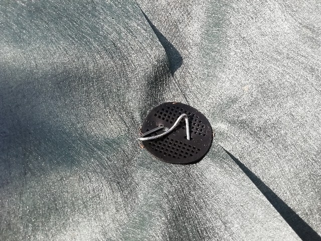 f:id:tamikiti67:20190217180318j:image