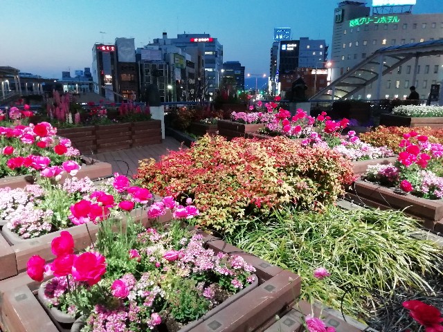 f:id:tamikiti67:20190405220844j:image f:id:tamikiti67:20190405220844j:image