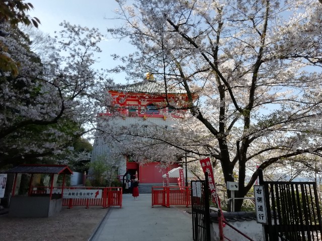 f:id:tamikiti67:20190410120619j:image