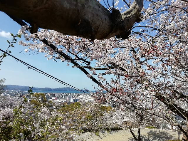 f:id:tamikiti67:20190410120729j:image