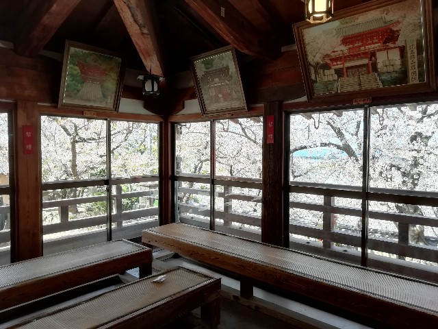f:id:tamikiti67:20190410120848j:image