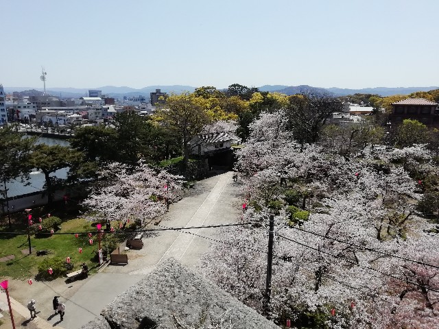 f:id:tamikiti67:20190410121547j:image f:id:tamikiti67:20190410121547j:image