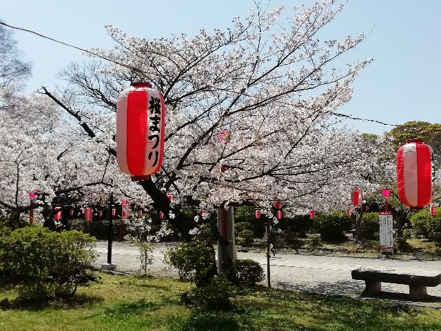 f:id:tamikiti67:20190410121633j:image f:id:tamikiti67:20190410121633j:image
