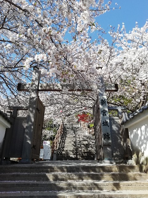f:id:tamikiti67:20190410142429j:image f:id:tamikiti67:20190410142429j:image