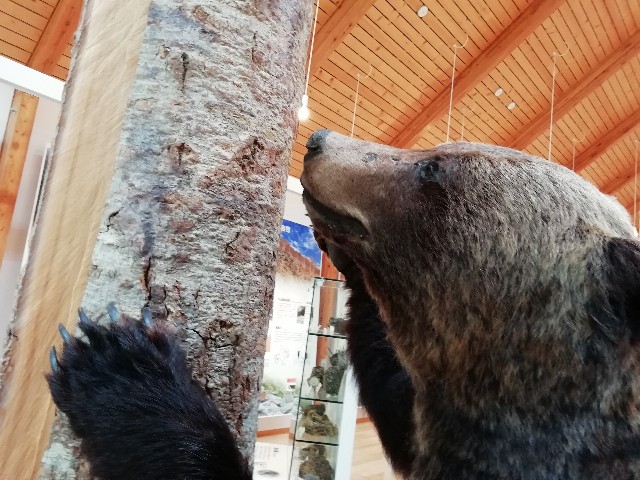 f:id:tamikiti67:20190616215420j:image