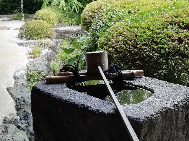 f:id:tamikiti67:20190622140601j:image f:id:tamikiti67:20190622140601j:image