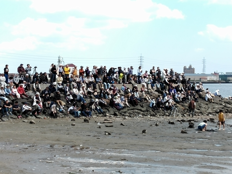 f:id:tamikiti67:20190624010106j:plain f:id:tamikiti67:20190624010106j:plain