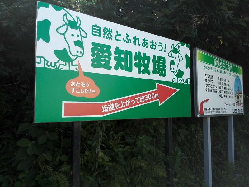 f:id:tamikiti67:20190624011949j:plain