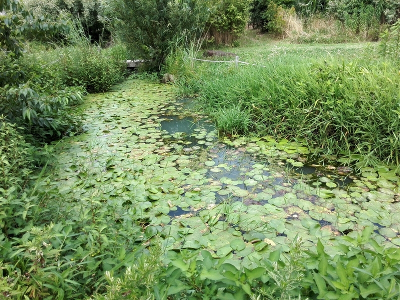 f:id:tamikiti67:20190624014545j:plain f:id:tamikiti67:20190624014545j:plain