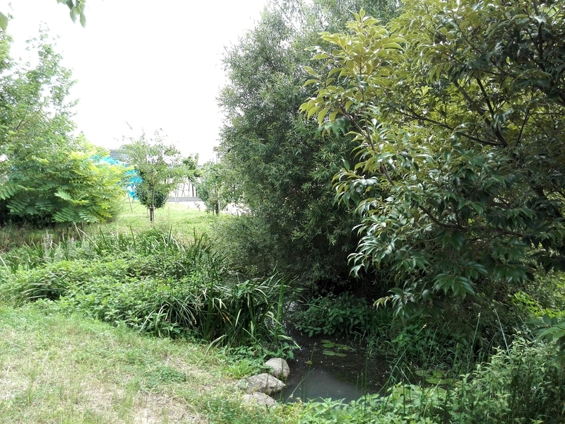 f:id:tamikiti67:20190624014651j:plain